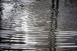 マンションの台風・ゲリラ豪雨対策はバルコニー・シーリングがポイント！