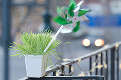 バルコニーの物の落下