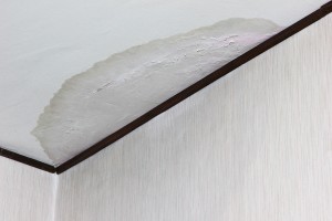 画像：マンションで雨漏りを発見したときは